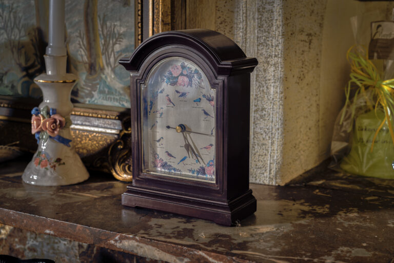 Maison Madame Mokka Vogeluhr
