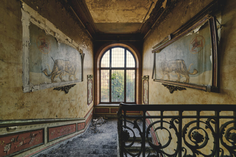 Maison des Plantes, Elefantenwand