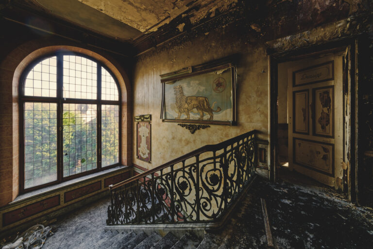 Maison des Plantes, Löwenbild