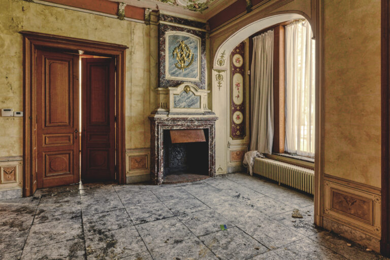 Maison des Plantes, Kaminsaal
