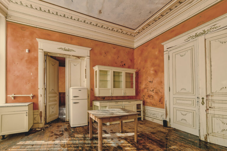 Maison des Plantes, Küchensaal