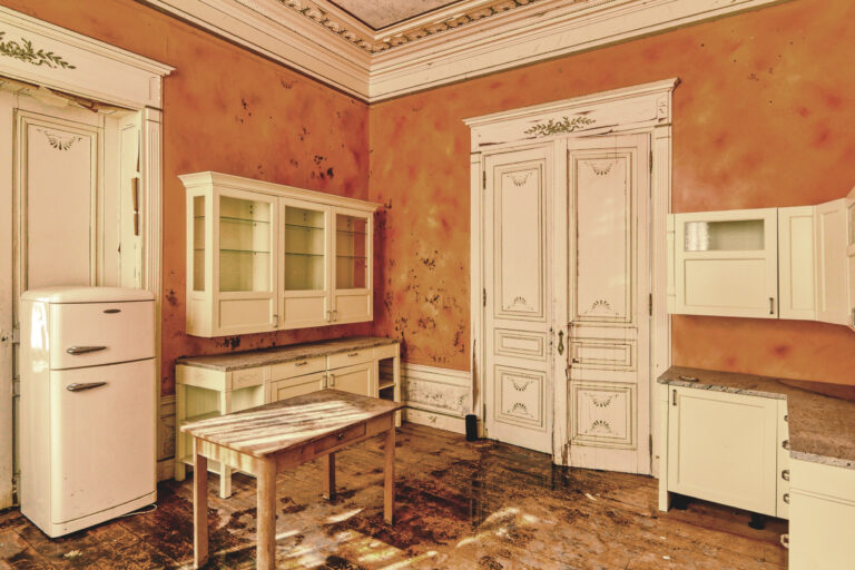Maison des Plantes, helle Küche