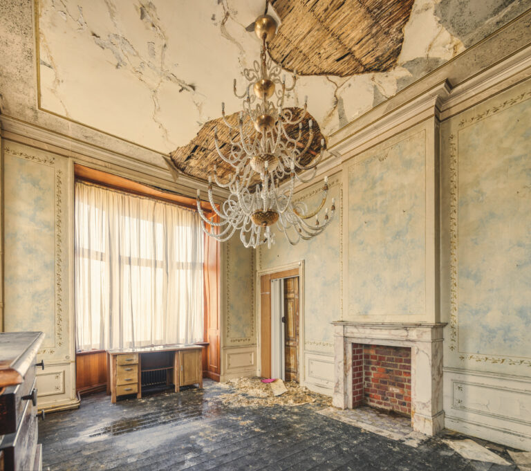 Maison des Plantes, Salon mit Kamin