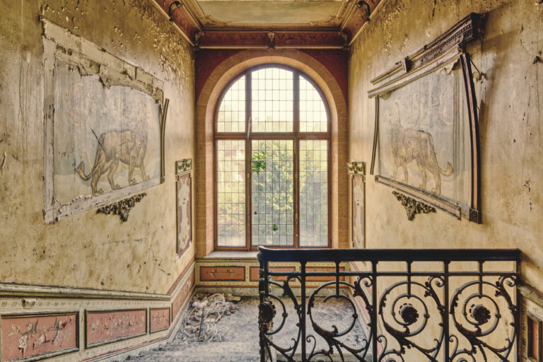 Maison des Plantes, Elefantensaal