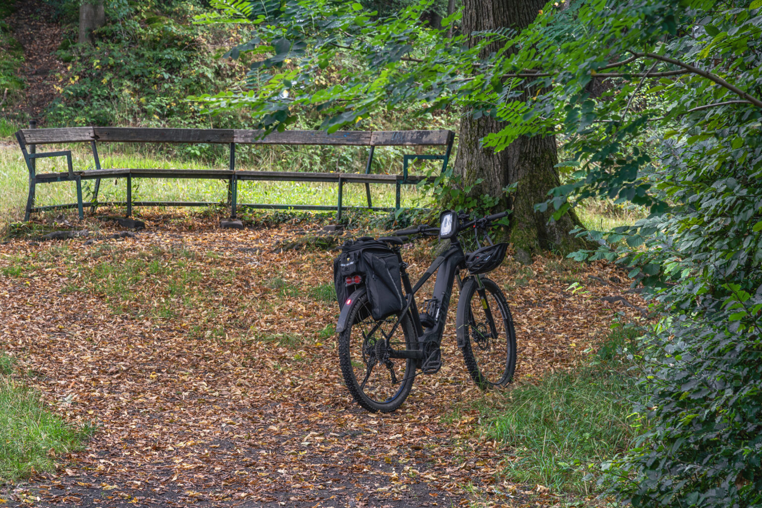 Schwarzes E-Bike an einer verwitterten Holzbank auf einem laubbedeckten Waldweg