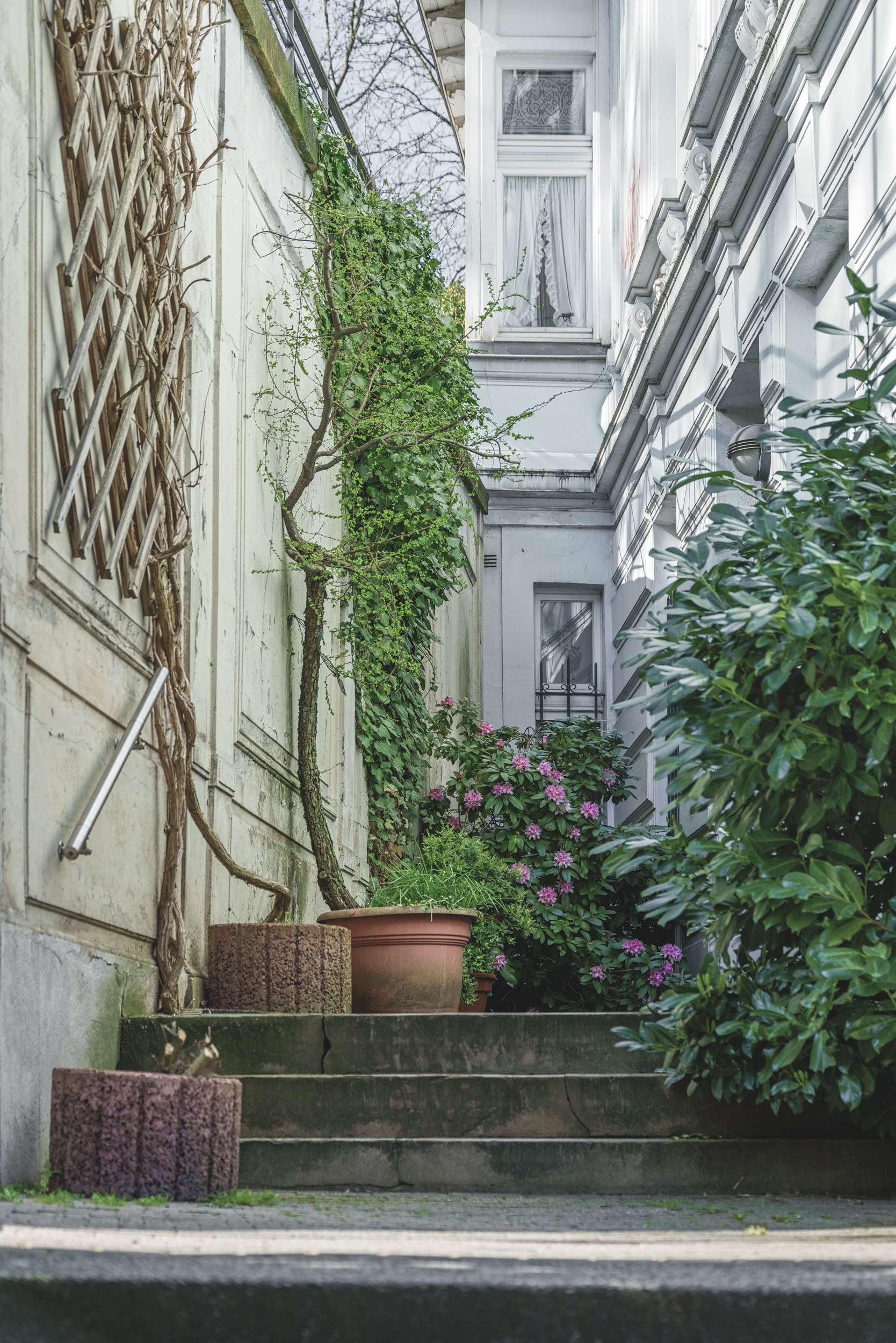 Hinterhof mit Steinstufen, Topfpflanzen und Efeu an verputzter Wand in Wuppertal