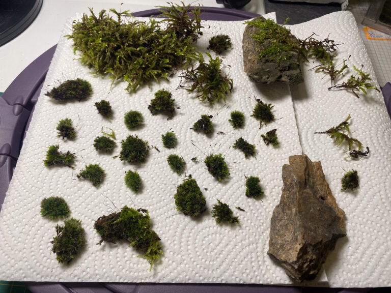 Moosbüschel und Steine auf Küchenpapier ausgelegt für den Aufbau eines Mini-Dioramas
