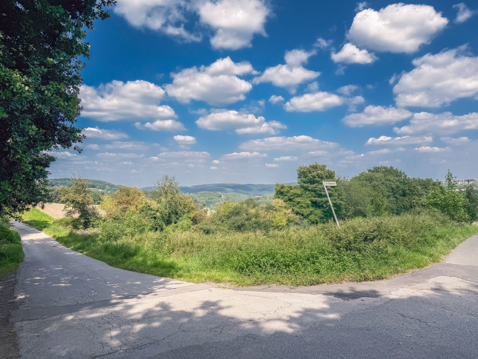 Feldweg-Kreuzung mit weitem Panoramablick über bewaldete Höhen unter Wolkenhimmel