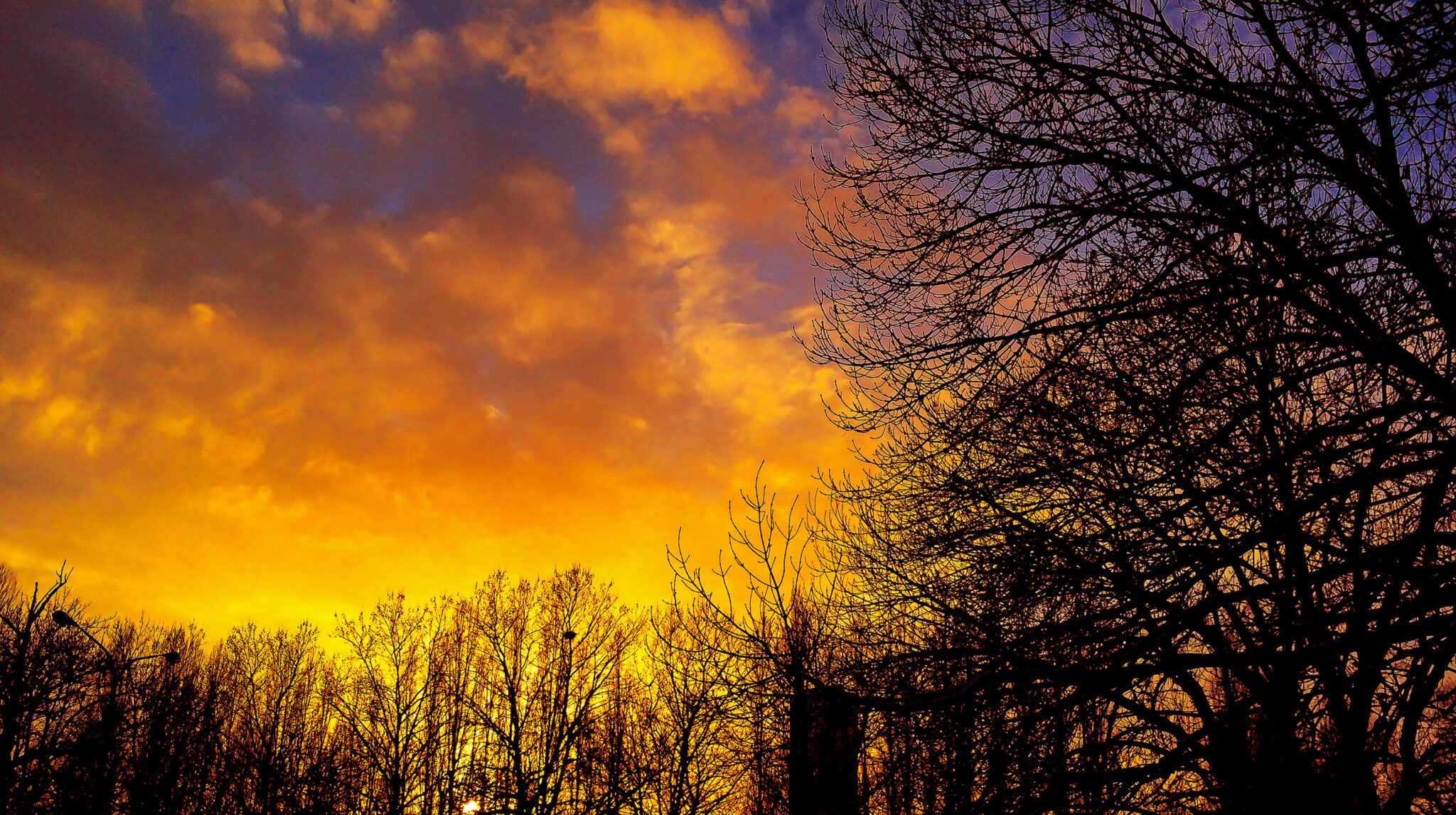 Dramatischer Sonnenuntergang über den Baumsilhouetten von Gerresheim.