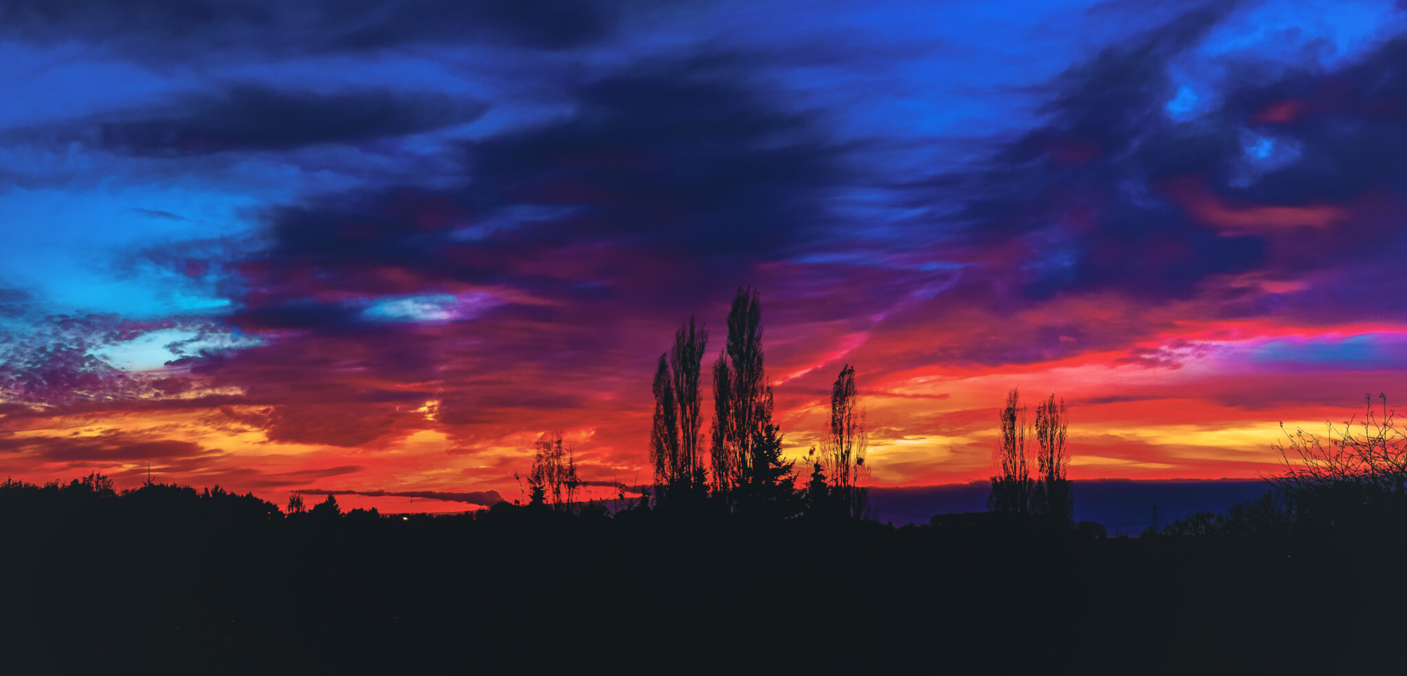 Dramatischer, farbenprächtiger Sonnenuntergang über Baum-Silhouetten.