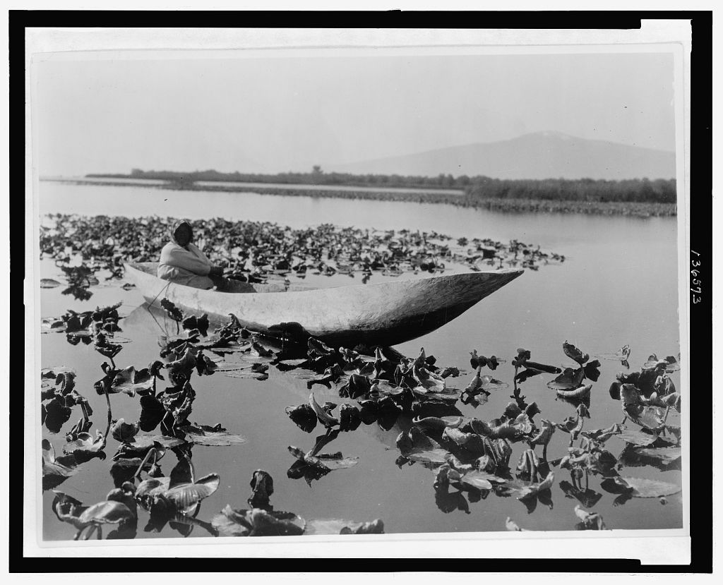 Historic photograph of Klamath people gathering wokas at the Klamath Marsh around 1923