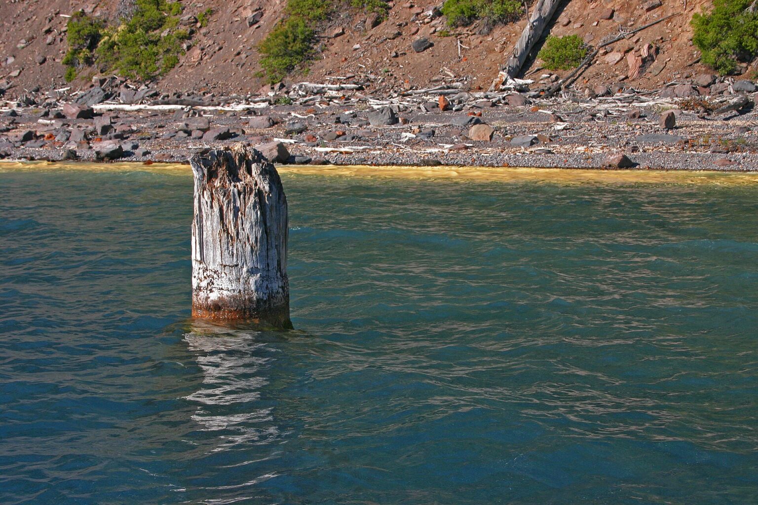 Der Old Man of the Lake, ein senkrecht im Wasser treibender Baumstamm im Crater Lake